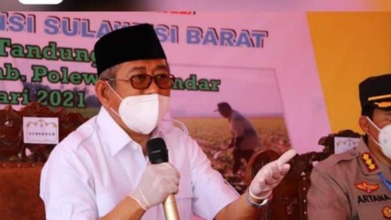 Pemerintah Pusat Beri Bantuan ke Pemprov Sulbar Pengembangan 50 Hektare Tanaman Kedelai