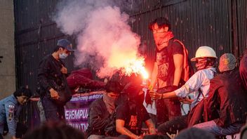 Anggota DPR Kecam Tindakan Represif Aparat ke Mahasiswa Saat Demo: Polisi Ngawur
