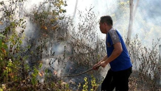 联合官员扑灭波诺罗戈的森林火灾