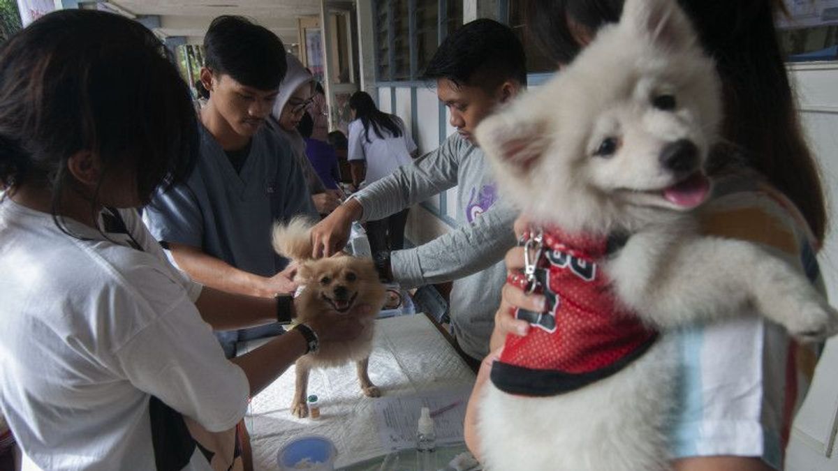 健康専門家は狂犬病が開いた傷を通して伝染する可能性があると警告する