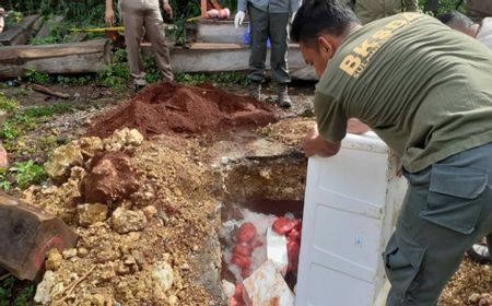 Balai Karantina Kendari Gagalkan Penyelundupan 100 Kg Daging Rusa