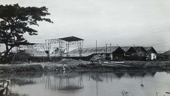 Ancol History: A Dream Park That Was Abandoned To Become A Monkey's Nest