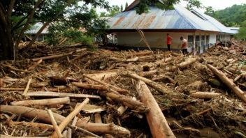 Wooden Spots Dragged By Floods In Sumatra, Ministry Of Transportation Investigate Sources