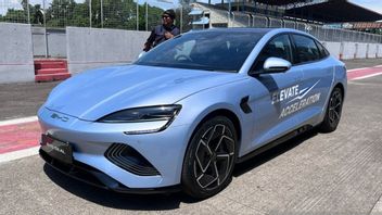 سيارة جوجيت، أكبر فيزال نغاموك على وسائل التواصل الاجتماعي وهنا رد فعل BYD