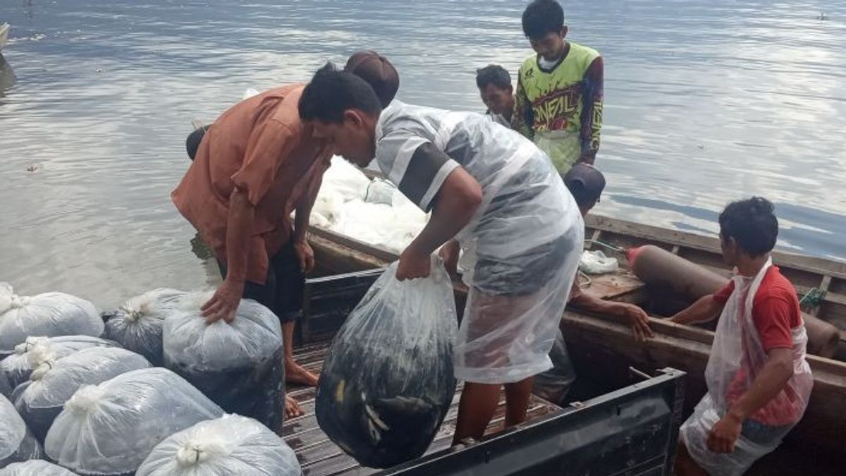 552吨死鱼在马宁尧湖，农民尝试将其加工成面粉，以免污染环境