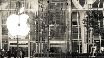 App Store反垄断指控未解决，苹果敦促法院驳回Epic Games上诉