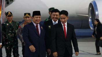 Pilpres 2029 Berpotensi Jadi Arena Gibran vs Sjafrie Dampingi Prabowo