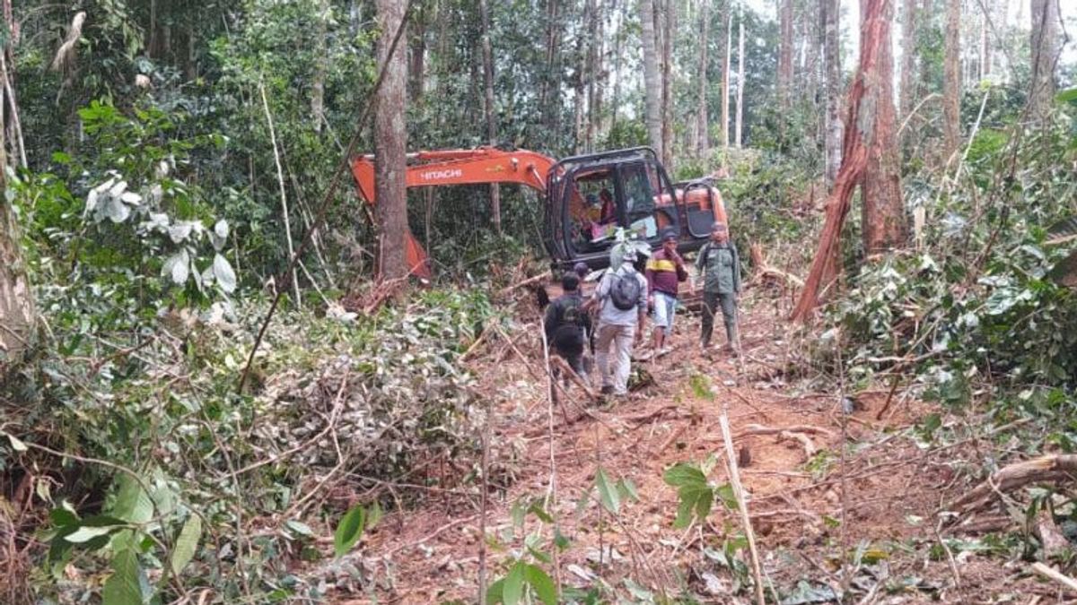 Gakkum KLHK Serahkan Tersangka Perambahan Hutan TN Bukit Tigapuluh