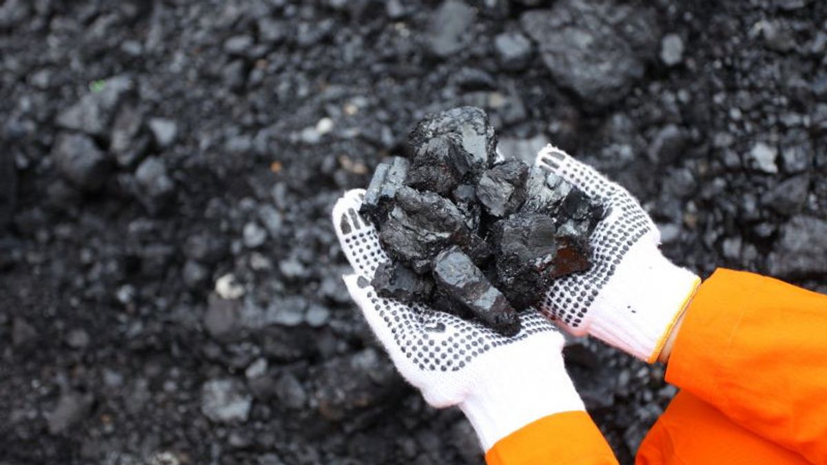 The Price Of Coal Acuan December Fell To 281.48 US Dollars Per Ton, This Is The Cause