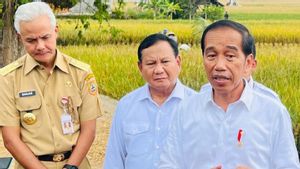 Agenda Jokowi Hari Ini, Bagikan Bansos Hingga Serahkan Sertifikat Tanah di Blora 