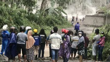 Semeru Victim Evacuation Place Becomes Spectacle, Residents: Usually Watch It On Television, But I Want To See It Live