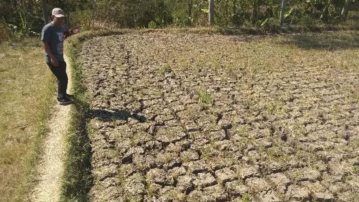 干ばつ緊急対応、BPBDガルート評価8住民に配布する水源