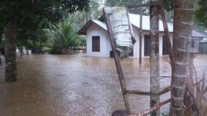 20 Desa Terendam Banjir di Kabupaten Aceh Jaya