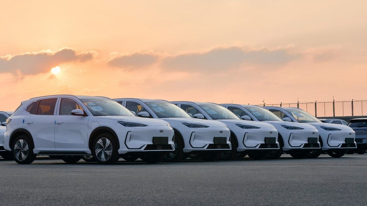 جيلي في أعلى 15 شركة، EX5 و EX2 هما الدعامات التي تدفع المبيعات