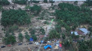 Aceh Electricity Recovery Strategy, Crane as Emergency Tower