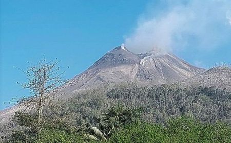 Abu Vulkanik Gunung Lewotobi Mereda, Kemenhub: Layanan Penerbangan Kembali Normal