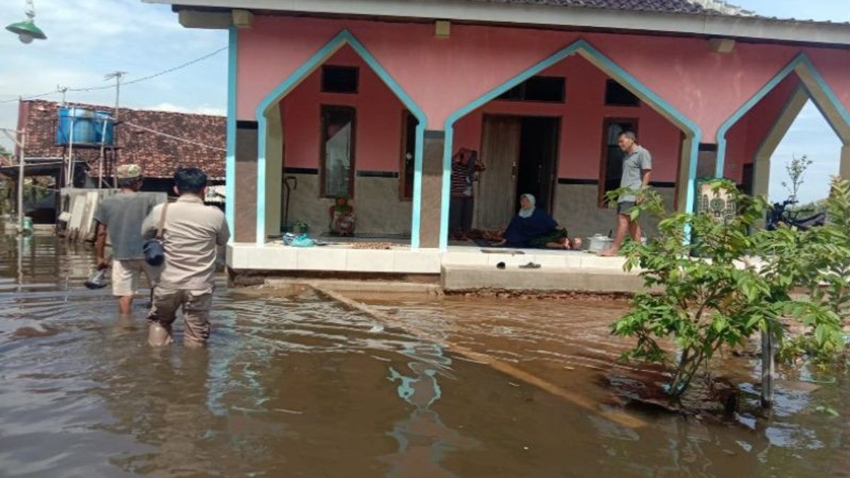 Due To Heavy Rains Since This Morning, 17 Roads In Pekalongan Were Submerged By 20-60 Centimeters Of Flood