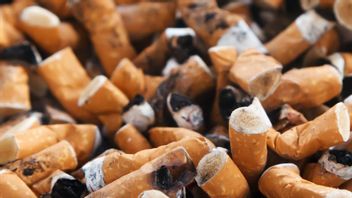 السيطرة على المدخنين المبتدئين لحماية الأطفال ، وزارة التنسيق PMK تدعم مراجعة PP 109/2012 