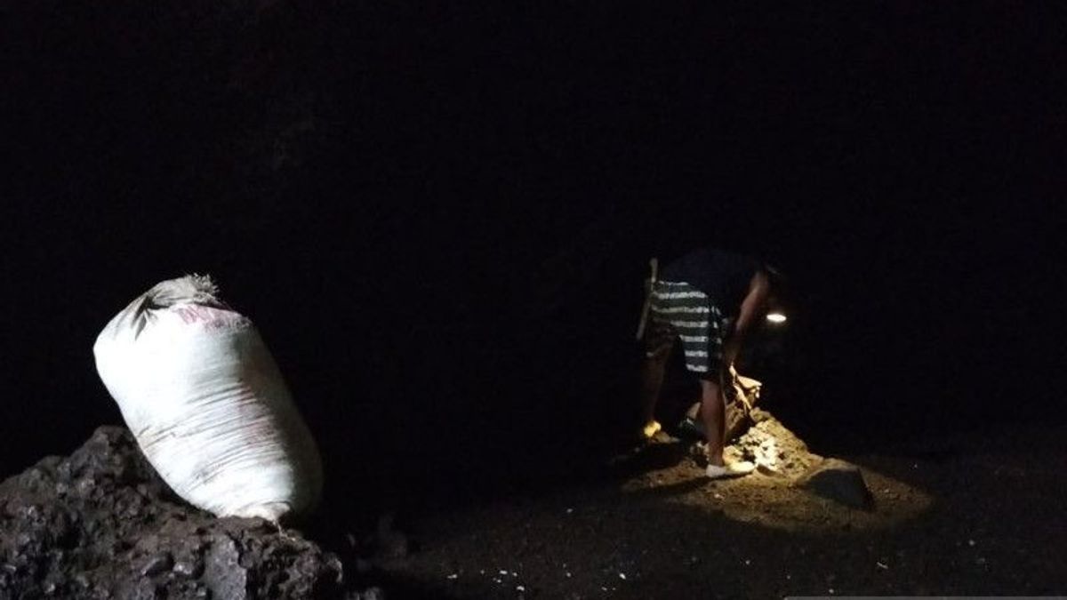 肥料として使用される西海岸のマトゥ洞窟の数千トンのコウモリの糞