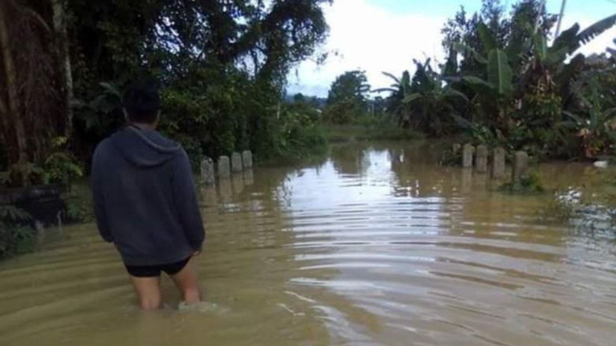 洪水浸泡巴西普提波索村的3个小村庄