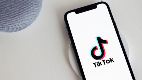 TikTok应用程序中保持帐户隐私的提示