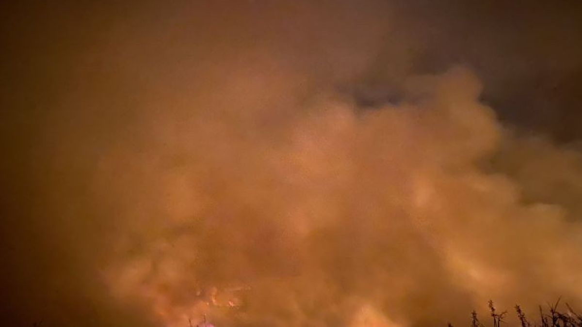 Kebakaran Landa 3 Hektare Lahan di Banjarbaru Kalsel