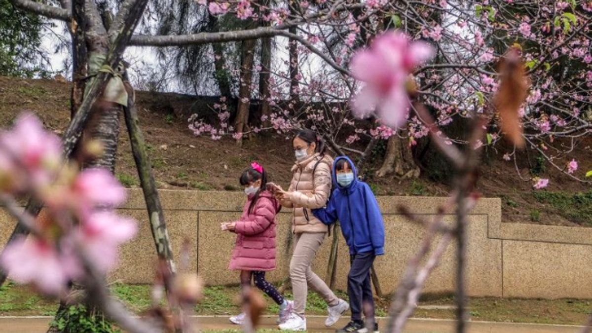 일본뿐만 아니라, 이것은 벚꽃 여행을 즐기기위한 아시아 목적지입니다.