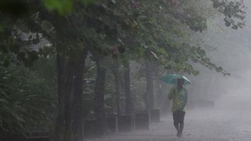 تنبيه الطقس المتطرف ، BMKG: تقريبا جميع المقاطعات لديها القدرة على هطول الأمطار
