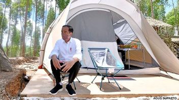 Respons Kocak Netizen Saat Jokowi Unggah Pose Cool di Tenda IKN Nusantara: Ingat Pramuka Dulu, Ada Jerit Malam Pak?