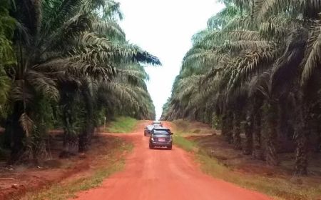 Peredaran Narkoba di Kalteng Mulai Masuk Pertambangan dan Perkebunan, BNNP Perketat Wilayah Perbatasan