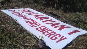 Progres Pembangunan PLTA Kayan Hydro Energy Ditinjau Presiden Jokowi