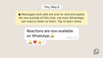 Original WhatsApp Apps For MacOS Now Available In Beta Version