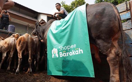 Shopee Barokah Bagikan Daging Kurban Sapi Limosin Bersama LAZISNU