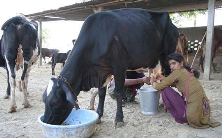 Ada-ada Saja, Masyarakat India Lumuri Tubuh dengan Kotoran dan Urine Sapi untuk Obati COVID-19