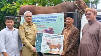 Le président Jokowi a sacrifié 1 tonne de vaches dans le Kalimantan occidental