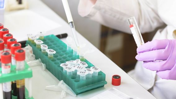 Bagaimana Cara Kerja Stem Cell dalam Mengatasi Penyakit? Simak Jawabannya di Sini 