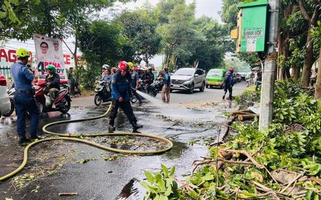 Selalu Berulang, DPRD Minta Pemkot Bogor Evaluasi Program Pengelolaan Pohon