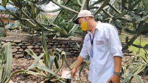 Peneliti Beri 5.000 KTP Pohon di Kebun Raya Bogor