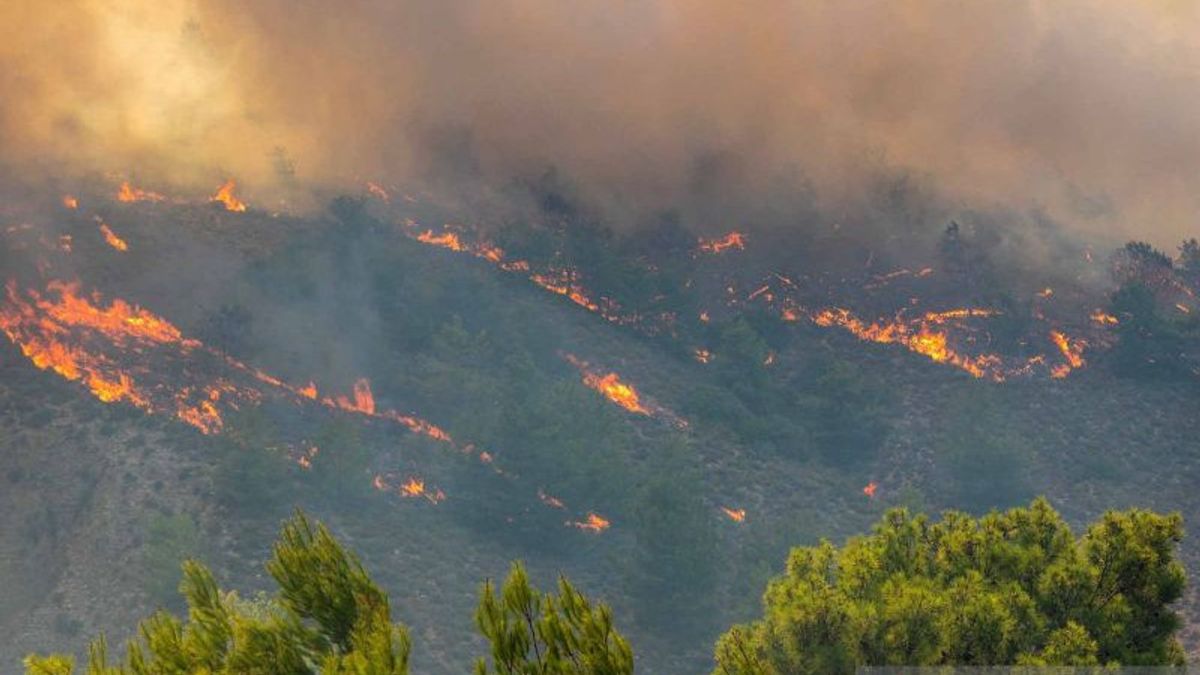 ギリシャでの大火:多くの工場が破壊され、避難集落の住民