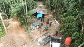 KLHK Tetapkan Pemodal Aktivitas Tambang Ilegal Gunung Dako sebagai Tersangka