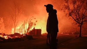 Santa Ana, le vent et le changement climatique, un duo qui provoque les incendies de Los Angeles