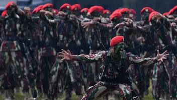 印尼国民军法修订的4点可以突出,其中一名活跃士兵可以担任民事职位