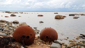 Le détroit d'Ormuz peut être ouvert sans avoir à nettoyer tous les mines