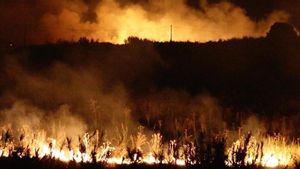 Taman Nasional Tongariro di Selandia Baru Terbakar, 1.800 Hektar Hutan Ludes