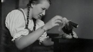 علم النفس وراء الهوايات البالغة من العمر جمع الدمى ، هل هو طبيعي؟