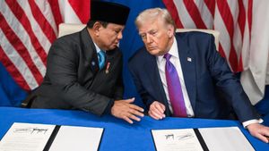 Indonesia Disarankan Keluar dari BoP, DPR: Presiden Punya Pertimbangan Strategis
