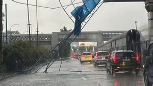 Cuaca Ekstrem Sebabkan Pohon Tumbang di Jalan Tol, Jasa Marga Evakuasi