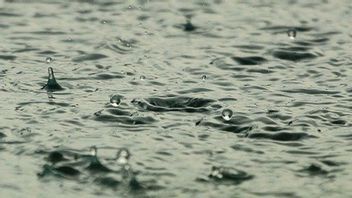 Cuaca Kota Surabaya Hari Ini: Berpotensi Hujan dari Siang hingga Malam Berintensitas Sedang hingga Ringan