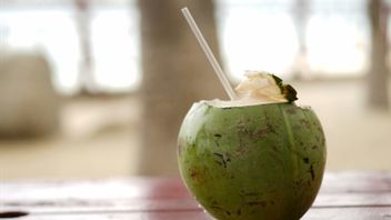 The Side Effect Of Drinking Young Coconut Water If Drinks Excessively