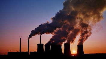 الوزير المنسق إيرلانغا يصف ضريبة الكربون بأنها أداة NEK لتغيير سلوك الناس